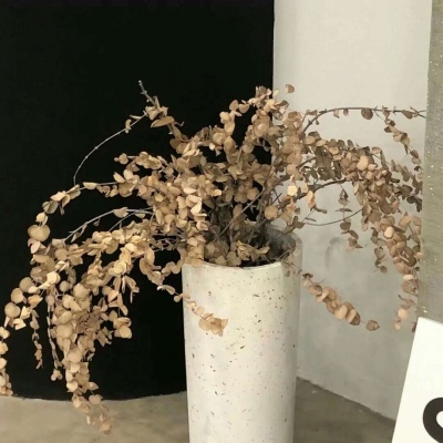 Furry插画元素设计技巧福瑞群